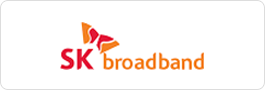 sk broadband